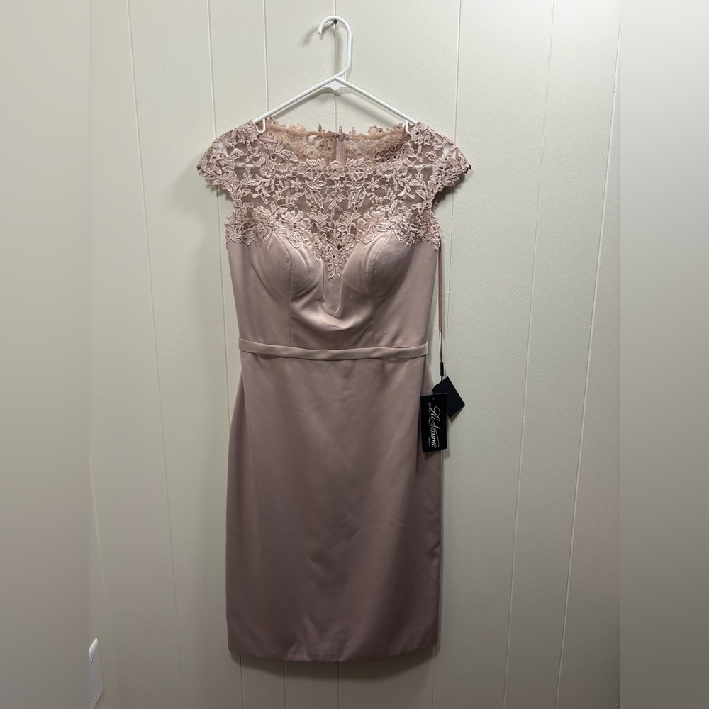 La Femme Lace Appliqué Wedding Dress in Blush